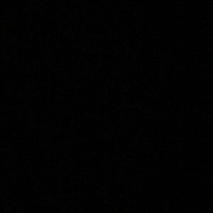 Meet your Posher, Evelyn